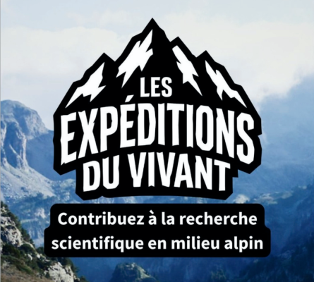 Capture d’écran 2026-06-22 151150