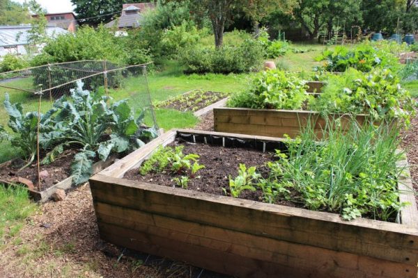 jardin en permaculture